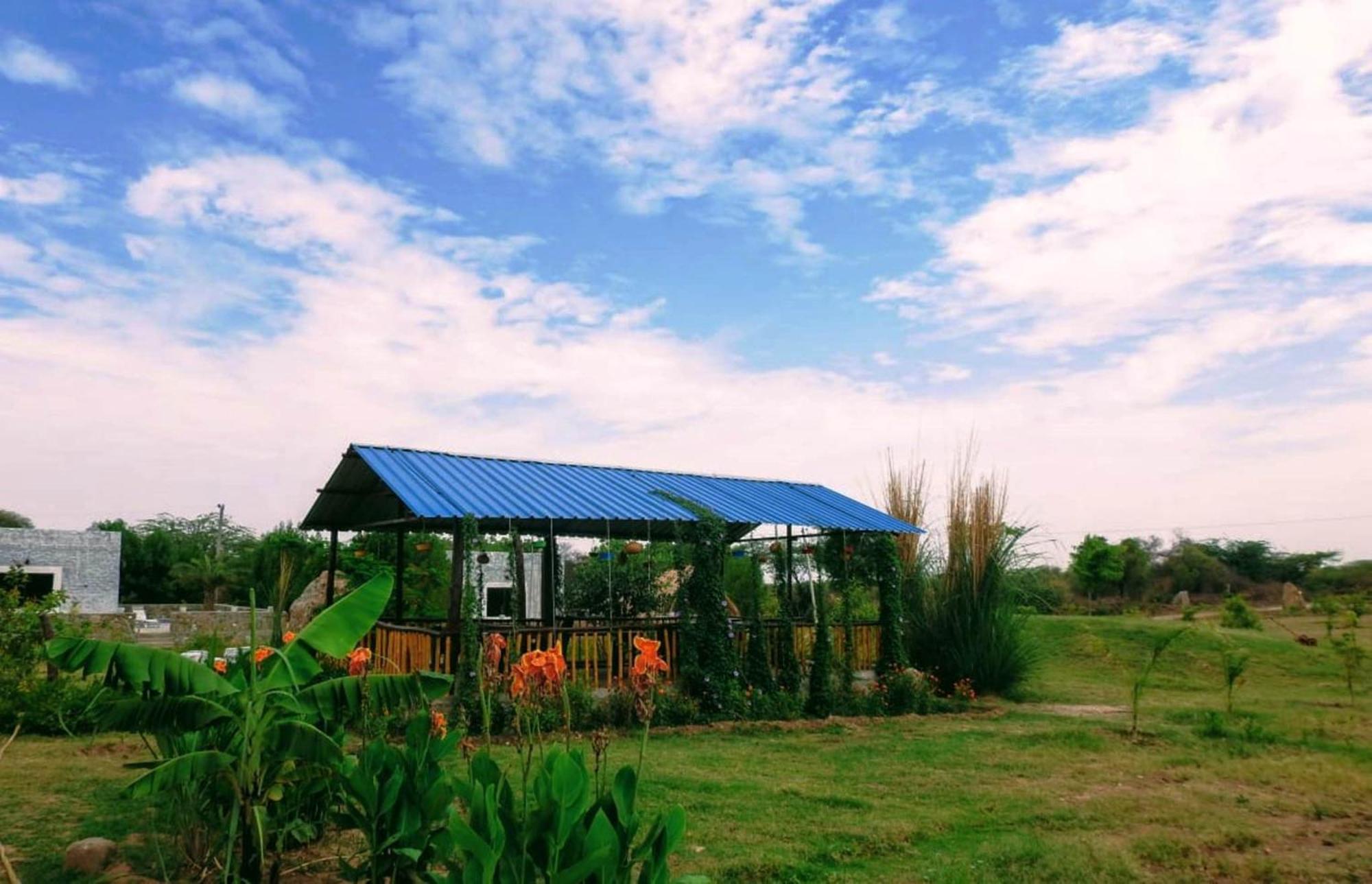 לינה וארוחת בוקר Nana Jawai Wildlife Safari Camp מראה חיצוני תמונה