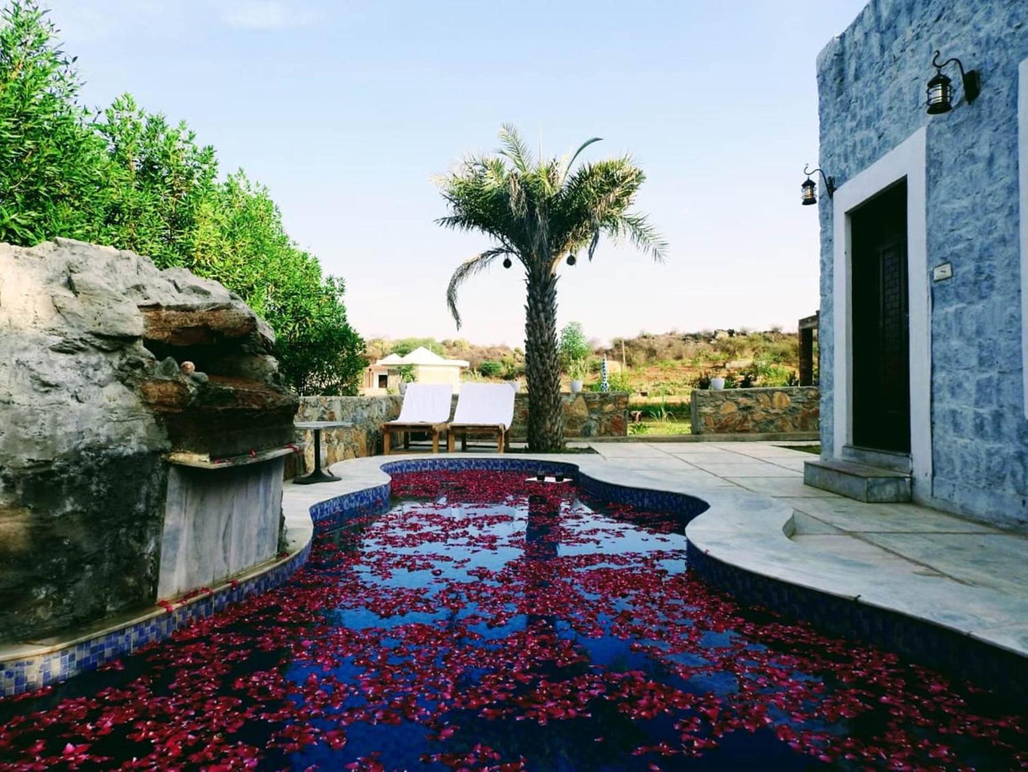 לינה וארוחת בוקר Nana Jawai Wildlife Safari Camp מראה חיצוני תמונה
